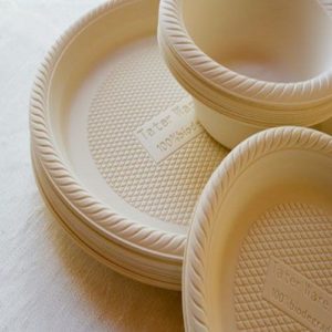 Bagasse and Paper Plates